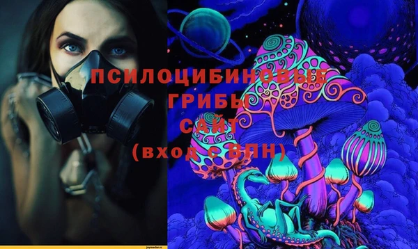 спиды Дмитровск