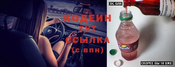 эйфоретик Гусь-Хрустальный