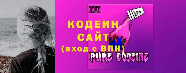 эйфоретик Гусь-Хрустальный