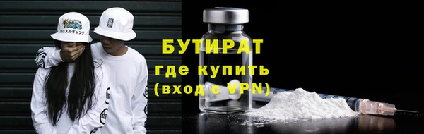 эйфоретик Гусь-Хрустальный
