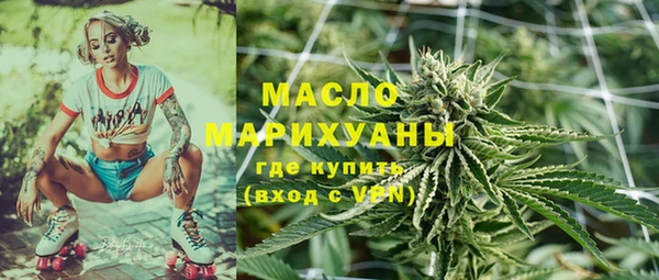 эйфоретик Гусь-Хрустальный
