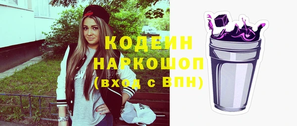 эйфоретик Гусь-Хрустальный