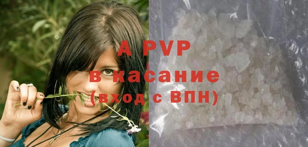эйфоретик Гусь-Хрустальный
