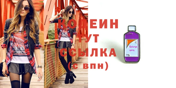 индика Киров