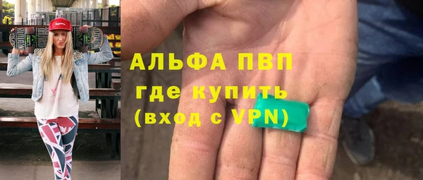 индика Киров